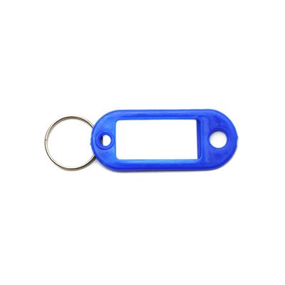 Canaropa Blue Key Tags (100-Pack)