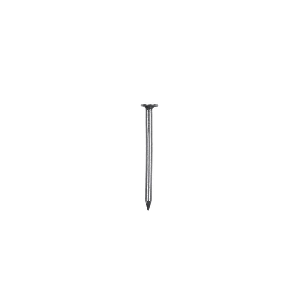 DuraDrive 2 in. Common Nails 50Lbs