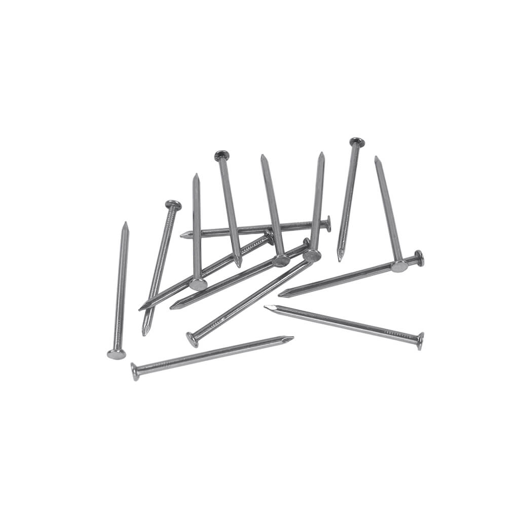 DuraDrive 2 in. Common Nails 50Lbs