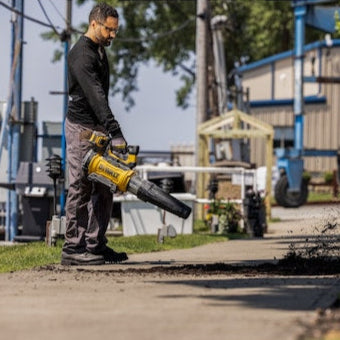 Dewalt Blower