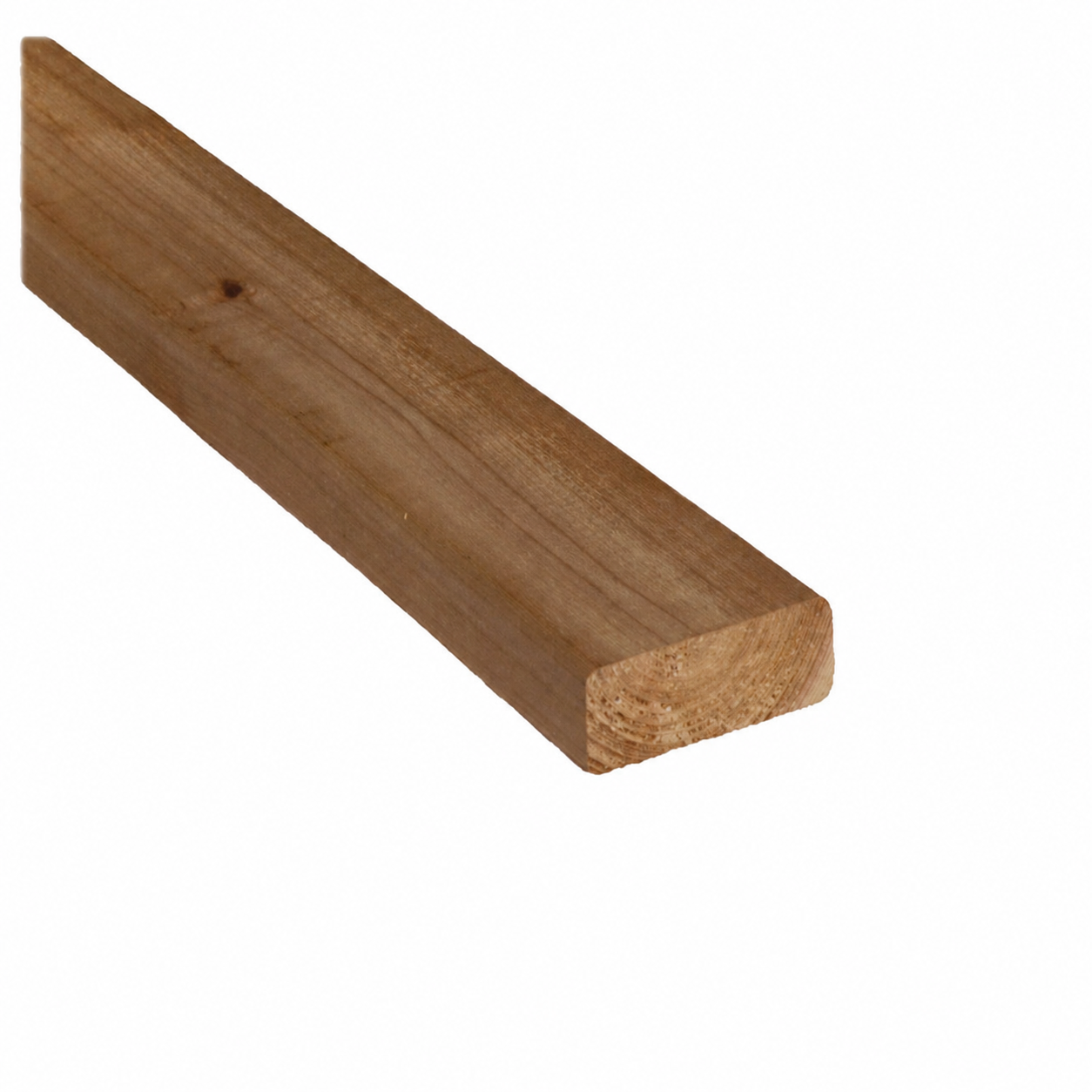 2 in. x 4 in. x 10 ft. Brown Pressure Treated Lumber