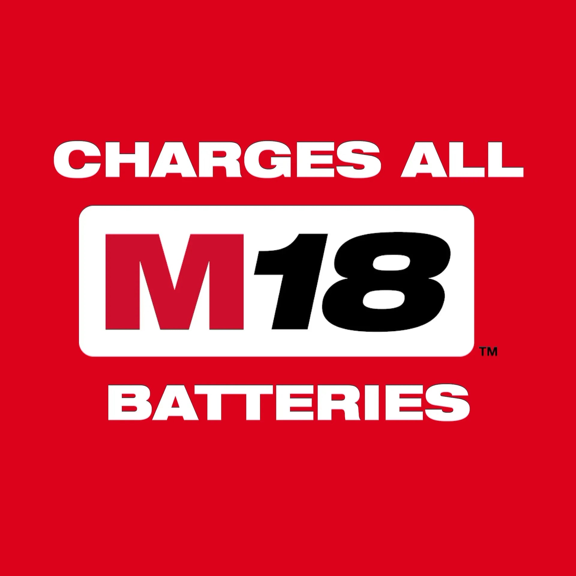 Milwaukee 48-59-1815 M18™ Lithium-Ion 1.5 - 8.0 Ah 120 V Dual Bay Battery Charger