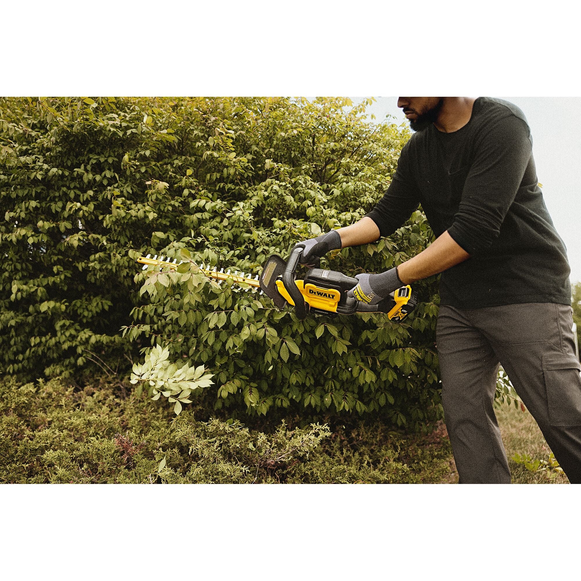 DEWALT DCHT821P1 20V MAX 22 in. Hedge Trimmer Kit