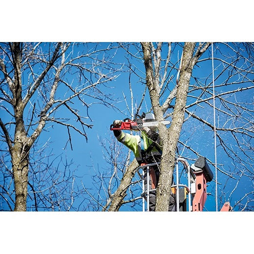 Milwaukee 2727-20 M18 FUEL 16 in. Chainsaw