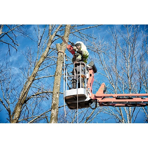 Milwaukee 2727-20 M18 FUEL 16 in. Chainsaw