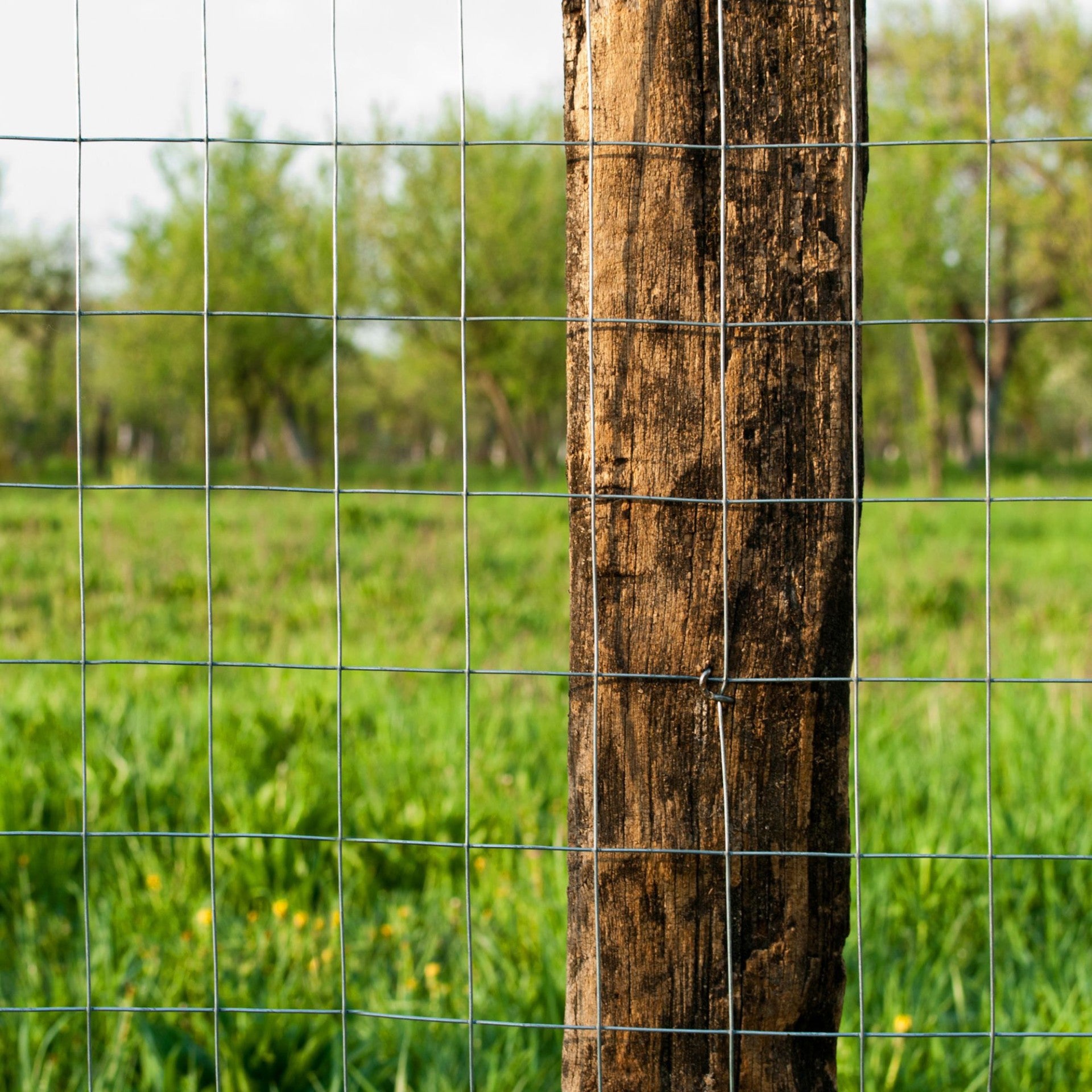 Welded Wire Utility Fence Mesh - Galv. 4 ft. x 50 ft.