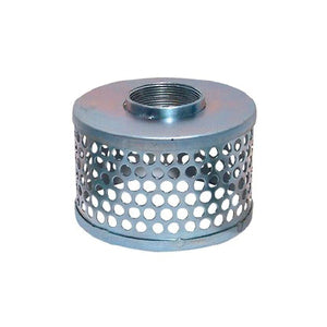 2 in. FIP Round Hole Strainer