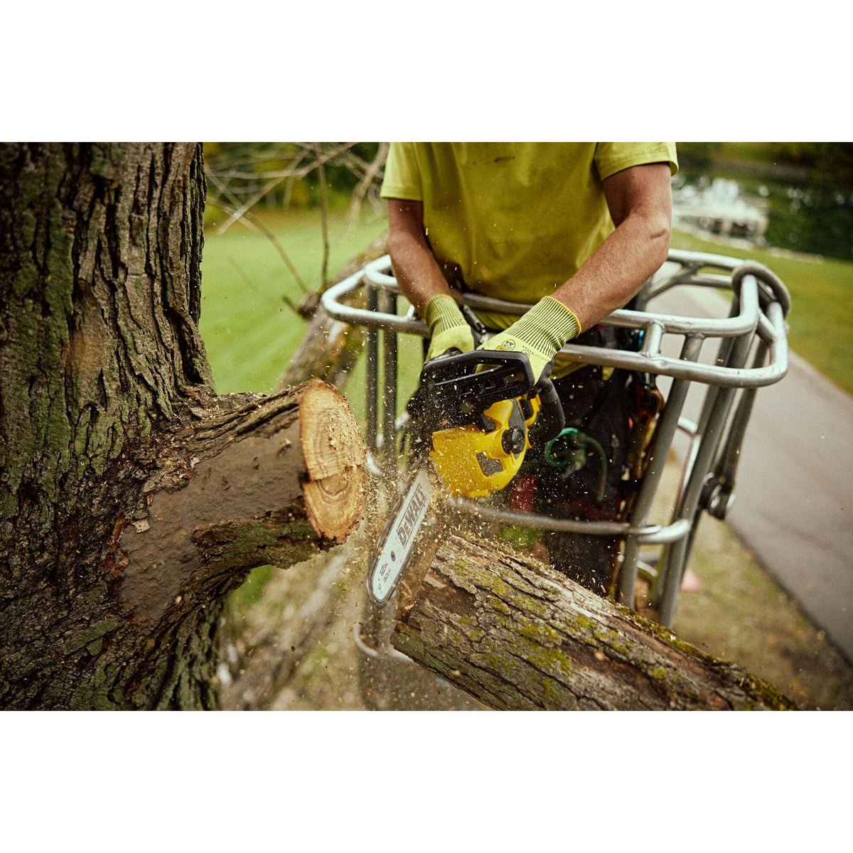 Dewalt DCCS673X1-CA 60V Top Hdl Chainsaw 12 in. 9.0Ah