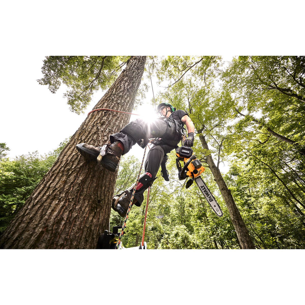 Dewalt DCCS674X2-CA 60V Top Hdl Chainsaw 14 in., 2X9.0Ah
