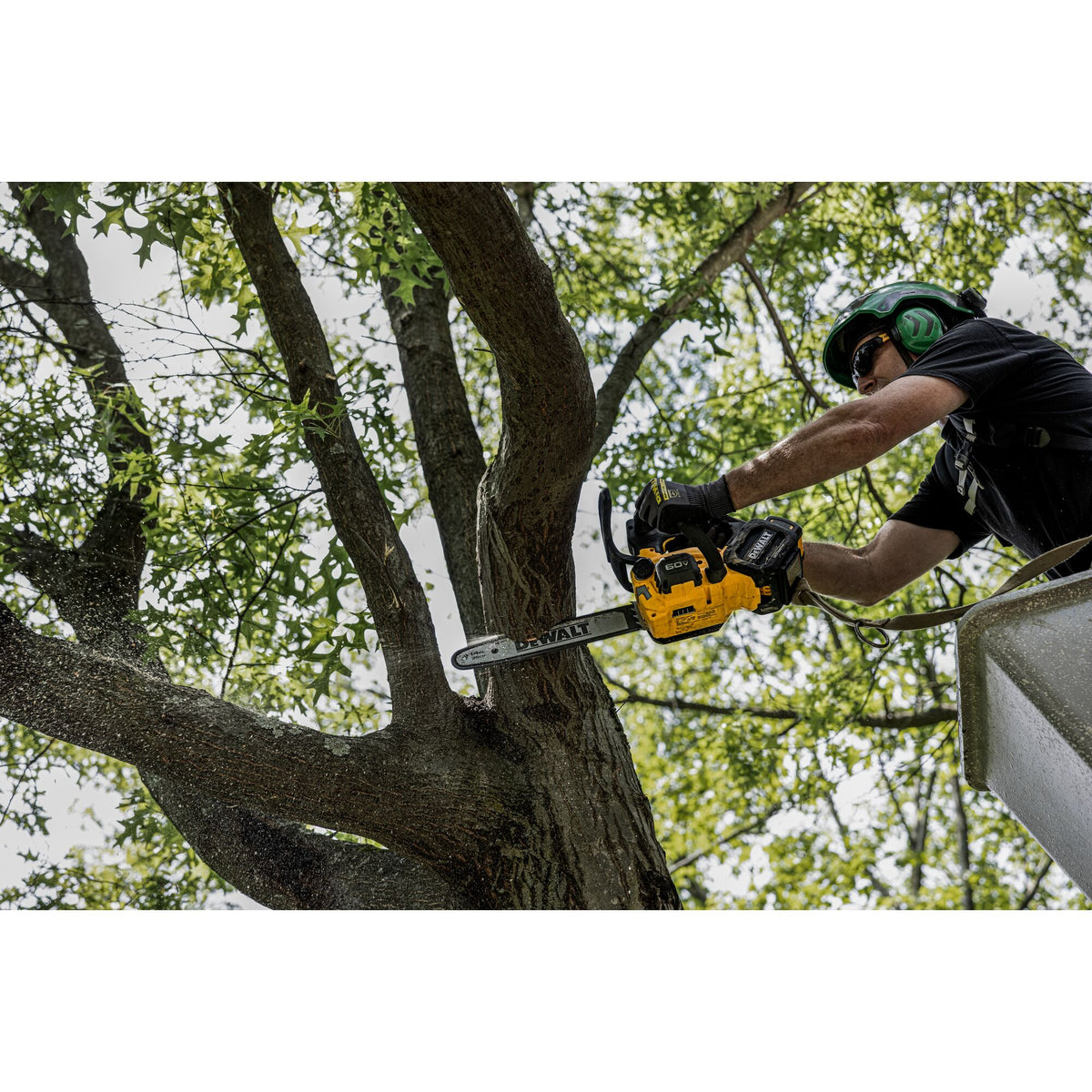 Dewalt DCCS674X2-CA 60V Top Hdl Chainsaw 14 in., 2X9.0Ah