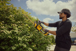 DEWALT DCHT821P1 20V MAX 22 in. Hedge Trimmer Kit